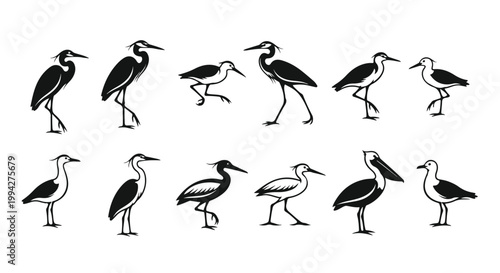 Minimalist Collection of 12 Black and White Wading Bird Silhouettes Including Herons Storks and Pelicans