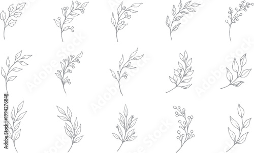 Bilde på lerret Set of hand-drawn botanical sprigs and leaves with white background line art fin