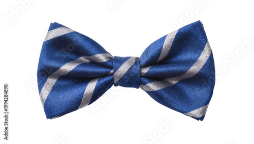 Εκτύπωση καμβά Navy blue and silver striped silk bow tie fashion accessory