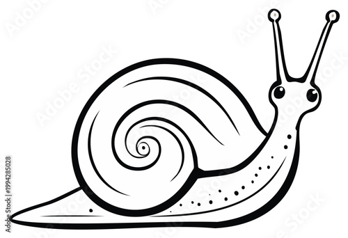 Snail Illustration: Detailed Line Art of a Slow-Moving Mollusk with a Shell