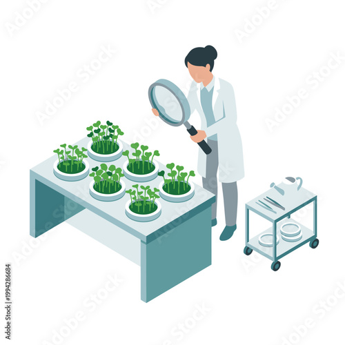 Scientist examining plants in lab. Suitable for educational materials, science publications, research articles on botany, or agriculture and biology presentations.