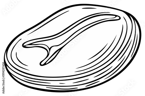 Illustration of a beef steak with bone outline in a vintage engraving style.