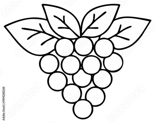 Bunch of Grapes Black and White Line Art Illustration for Coloring Pages or Clip Art Graphics