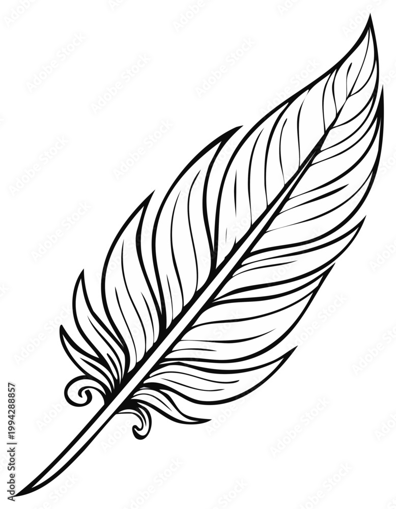 Fototapeta premium Elegant Line Art Feather Illustration Symbolizing Freedom and Nature