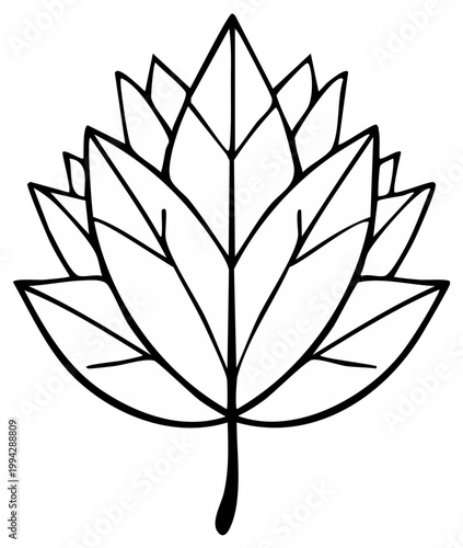 Detailed outline of a single leaf with sharp pointy tips in a stylized design style