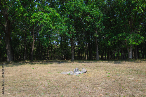A fire pit in a forest clearing. Green trees. Withered grass.