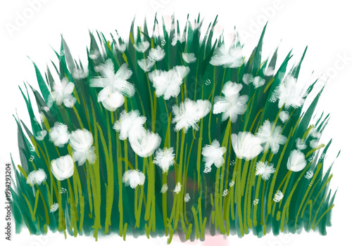 White flower patch clipart isolated on white