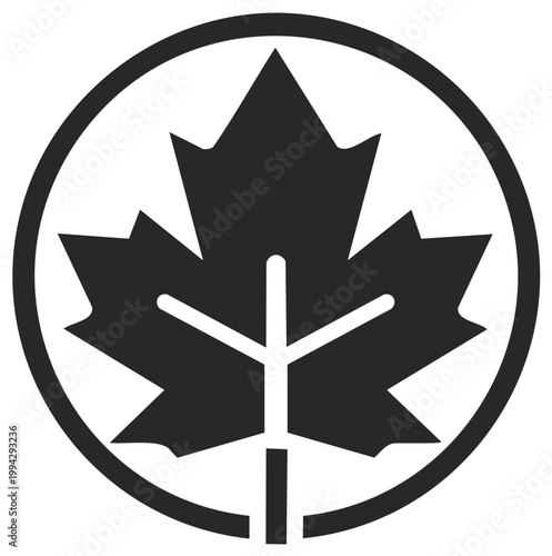 Stylized Maple Leaf Symbol Inside a Circle Graphic Icon