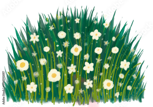 Ivory bud dome clipart isolated on white