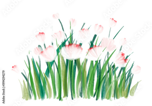 Pink blossom grass clipart isolated on white