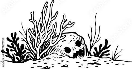 SVG dark nautical horror in eerie uncanny ocean waters vector. Nautical Horror Scene with Skull and Underwater Flora Elements