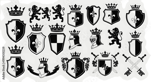 Collection of Medieval Ornamental Heraldic Shields Crowns Lions and Helmets