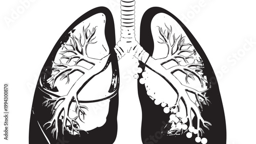 Detailed Illustration of Human Lungs Showing Bronchi and Alveoli in Black and White.