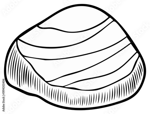 Monochrome illustration of oyster with shell ridges for coloring book or line art