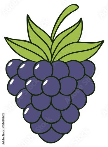 Illustrative Blackberry Fruit With Green Leaves and Stem