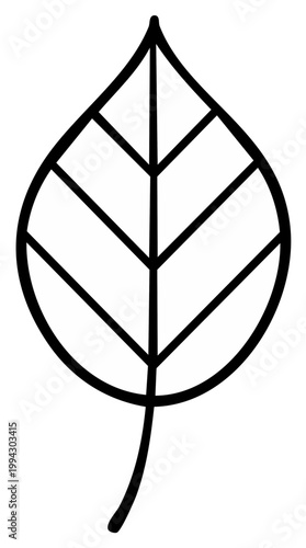 Simple stylized outline drawing of a single leaf with clear veins and a stem