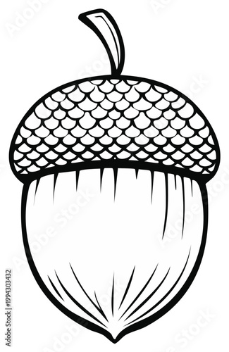 Stylized Outline of an Acorn with a Textured Cap and Stem