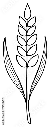 Simple line drawing of a single wheat stalk with two leaves symbolizing agriculture and harvest