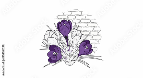 A rustic drawing of blooming purple and white crocuses in front of a brick wall