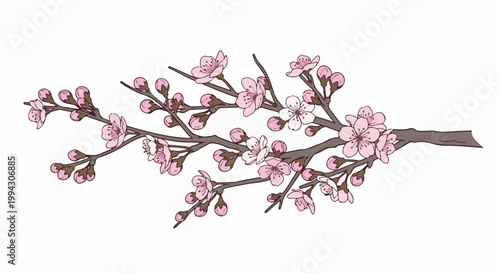 Delicate pink blossoms on a slender branch, hinting at spring's arrival