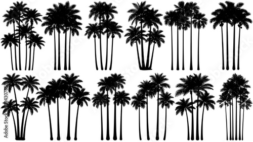 Vector set of tall, thin areca palm tree silhouettes set in solid black, featuring slender trunks and clean shapes, perfect for tropical scenes, garden and minimalist design projects.