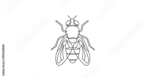 Front View of a Scooter.