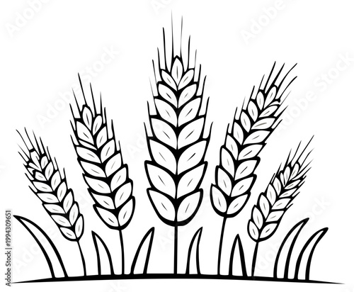 Illustration of a cluster of ripe wheat stalks with blades of grass