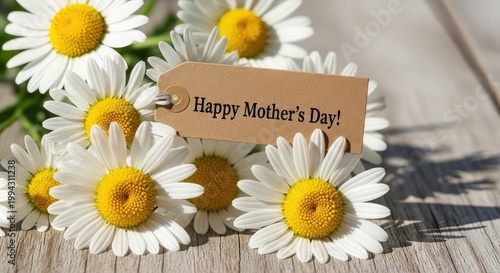 Happy mother s day beautiful daisies and a rustic card for a loving celebration