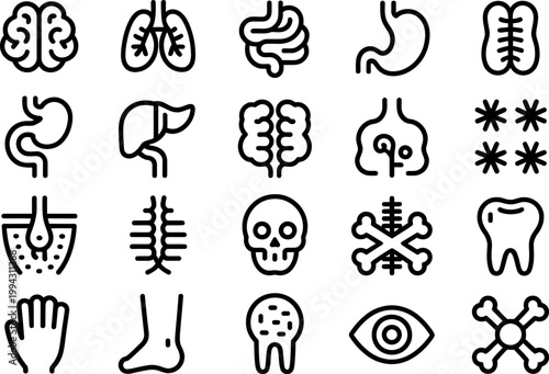 Collection of medical and anatomical outline icons representing human organs and body parts