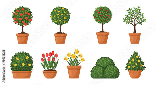 Beautiful collection of potted garden plants including fruit-bearing trees, flowering bushes, and green shrubs for indoor and outdoor decor.