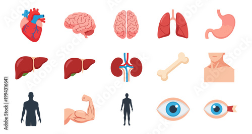 Human body organs and systems illustrations on black background