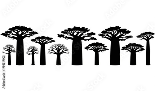 Cuadro en lienzo African baobab tree silhouettes vector set with iconic savanna trees isolated on