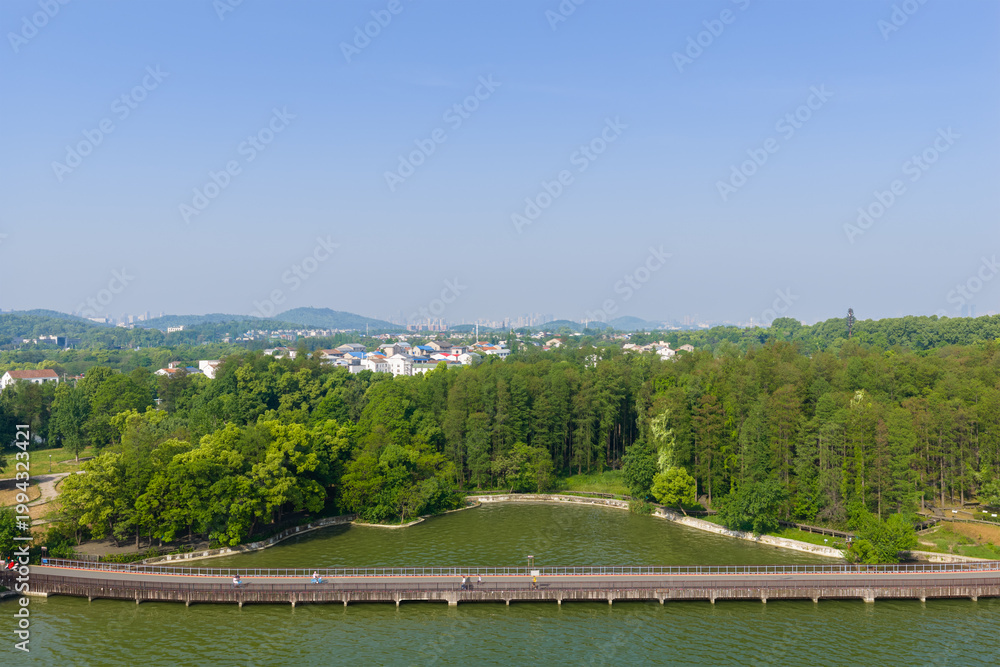 Fototapeta premium Spring Scenery of East Lake Scenic Area, Wuhan, Hubei, China