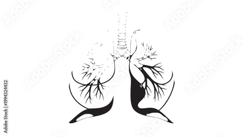 Stylized Illustration of Human Lungs with Branching Bronchi and Trachea.