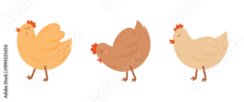 Set of three domestic hens in various poses including standing and pecking. Vector illustration of farm poultry birds with orange and brown plumage, red combs and beaks on white background.