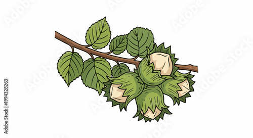Cartoon illustration of a hazelnut branch with green leaves and clusters of nuts