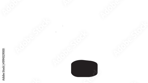 Close-up of a black hockey puck on a white background.