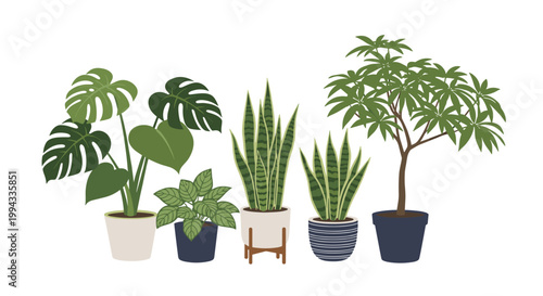 Five different green houseplants including monstera and snake plant sit in various decorative pots in a tidy horizontal row.