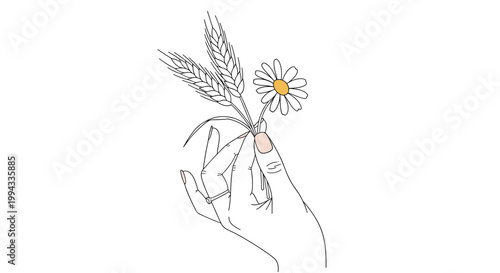 Simple line drawing shows a hand holding a bouquet of wheat stalks and a single white daisy with a yellow center.