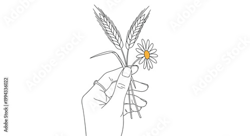 Artistic line drawing depicts a human hand holding a bunch of wheat ears and a single white daisy flower with a yellow center.