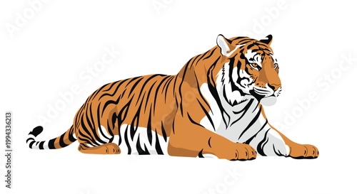 Beautiful siberian tiger resting peacefully in a lying position with its orange and black striped fur visible.