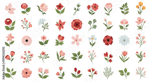 Large collection of diverse small colorful flowers and green leaves isolated on a plain white background set.