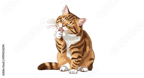 Adorable ginger tabby cat sitting and grooming its white paw with its tongue out in a realistic illustration.