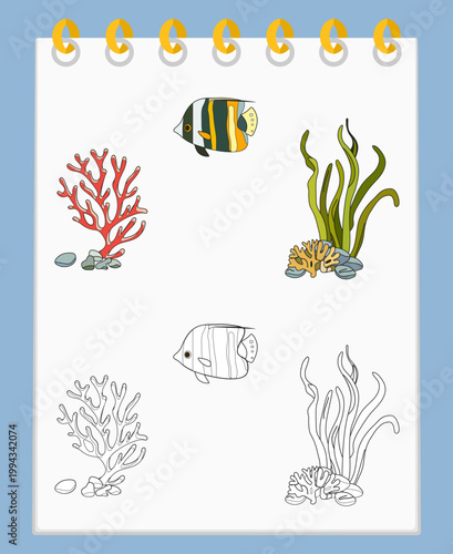 Coloring book Underwater Seabed Ocean Sea habitat