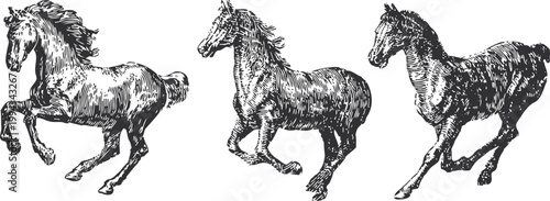 three horses running black and white vintage hand drawn equine sketch set galloping animals in motion with detailed fur texture
