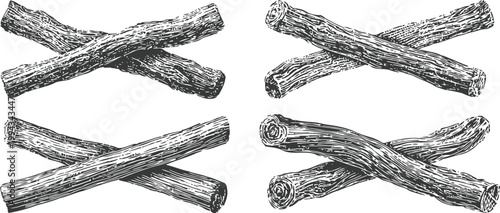 Natural wooden branches bundle hand drawn rustic wood logs illustration set vintage nature elements collection