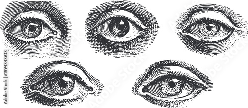 Vintage hand drawn human eyes sketches set detailed black and white eye illustrations with various expressions and styles