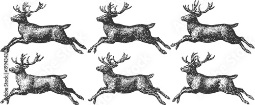 Vintage illustration of six leaping deer with detailed antlers and textured fur, black and white design