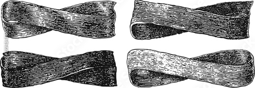 Set of vintage ribbon banners with detailed woodcut texture and curled edges