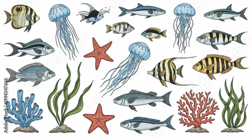 Large set of hand-drawn marine animals and plants featuring tropical fish, jellyfish, starfish, red and blue coral, and green seaweed isolated on a plain white background.
